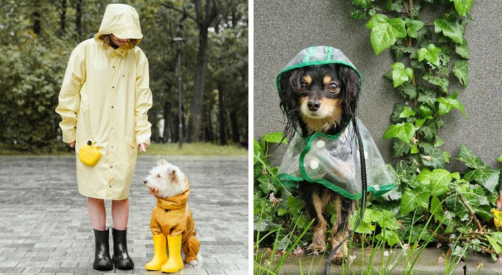Come affrontare le passeggiate sotto la pioggia