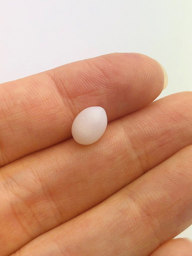 Come si formano le perle?