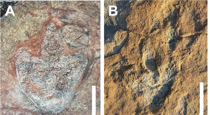Hällristningar av människor bredvid dinosauriers fossila spår: studien