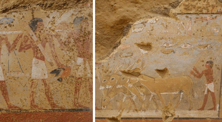 En mastaba full av fresker och teckningar av det forntida egyptiska livet