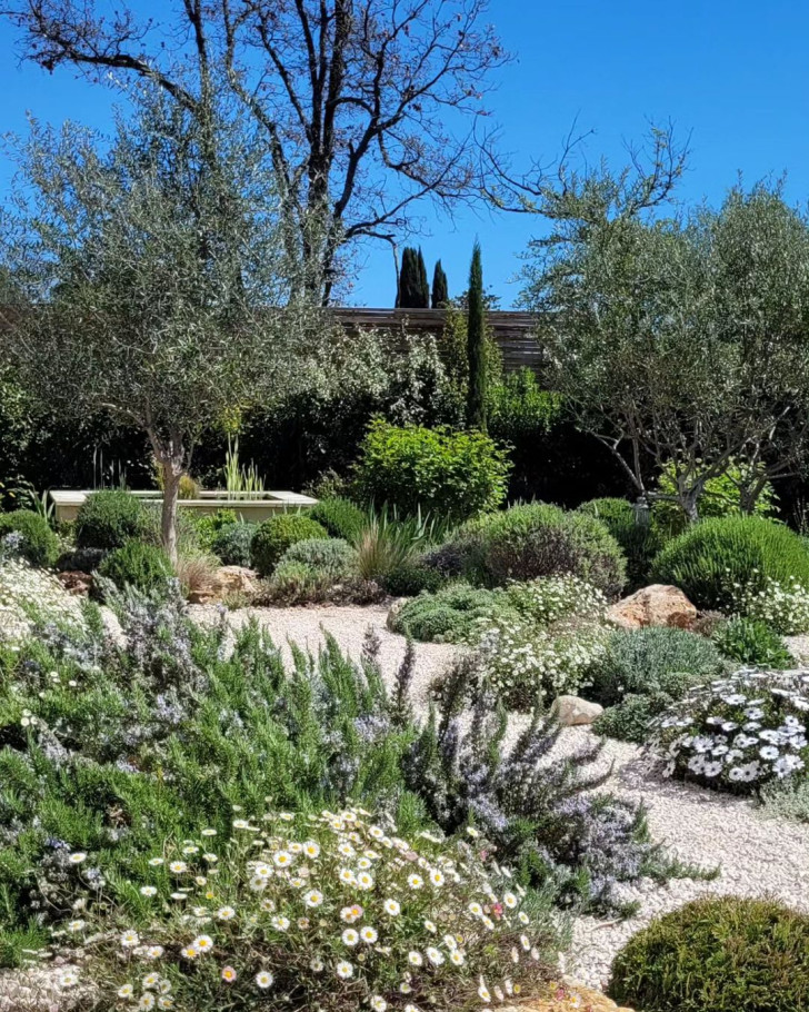 a glimpse of a Provençal-styled garden