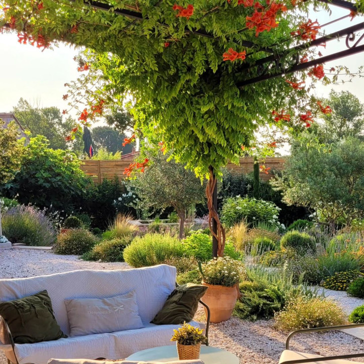 une pergola avec des bougainvilliers dans un jardin provençal