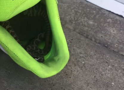 Ormen som gömde sig i en sko