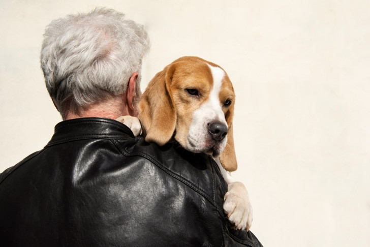 cane anziano in braccio