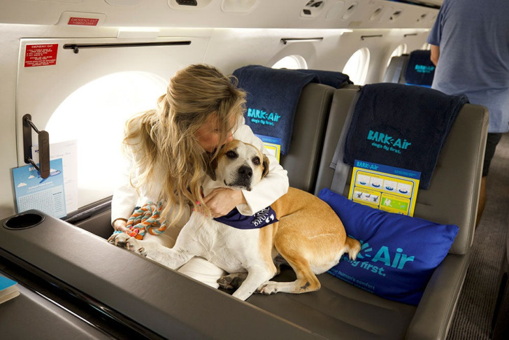 Un chien prend place à bord de BARK Air