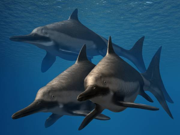 Ricostruzione della vita di Ichthyosaurus anningae