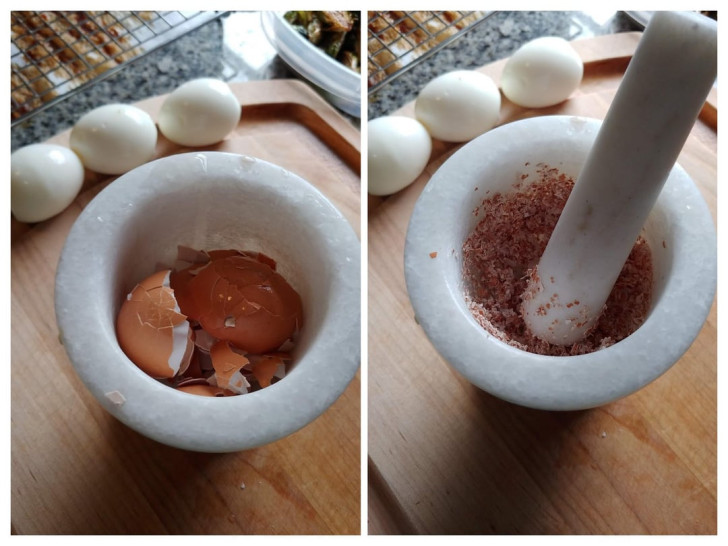 gusci d'uovo triturati in un mortaio