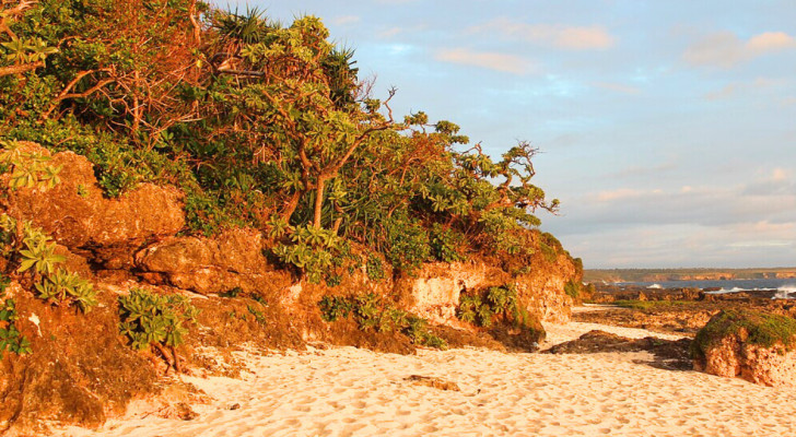 Strand på den sydliga kusten av Tongatapu