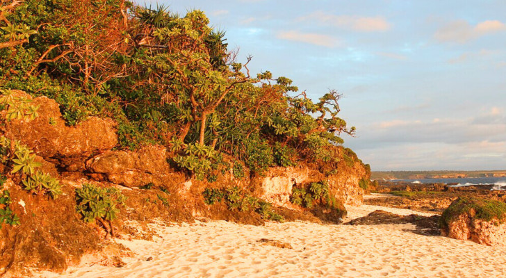 Strand aan de zuidkust van Tongatapu