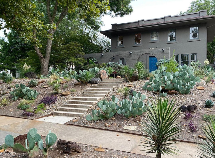 Un jardin avec des cactus et des succulentes