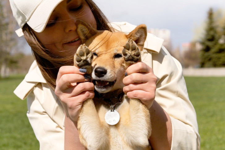 I polpastrelli dei cani sono una delle zone più sensibili dell'animale