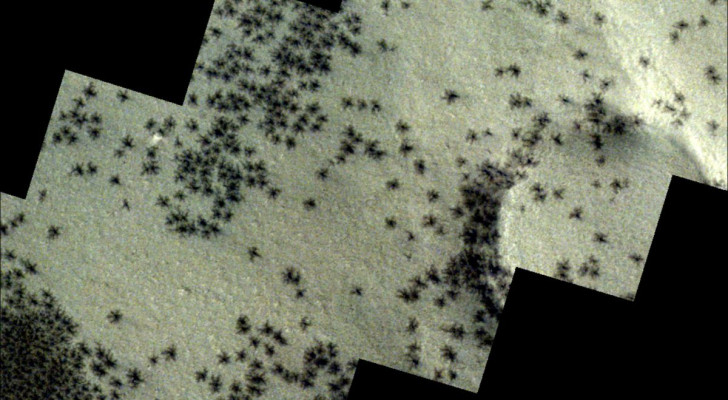 De märkliga spindlarna som fotograferades av Trace Gas Orbiter på Mars yta