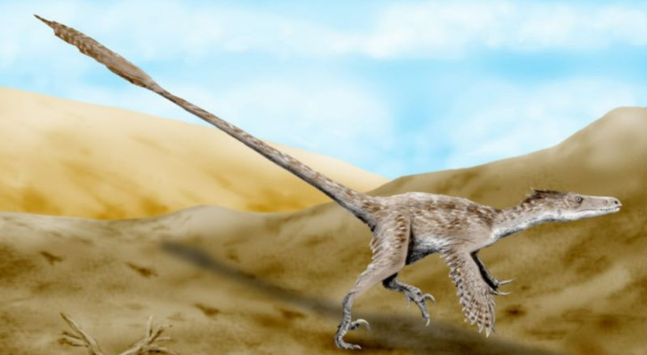 En Velociraptors utseende skiljer sig inte mycket från den nyligen upptäckta dinosaurien i Kina