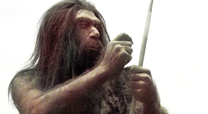 Una esposizione al museo di Neanderthal
