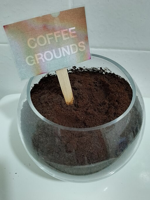 Glass bowl containing coffee grounds