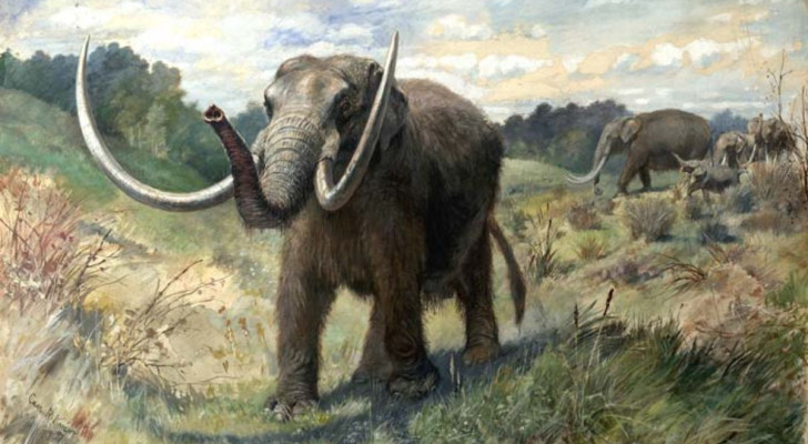 Charles R. Knight's reconstructie van Mastodont