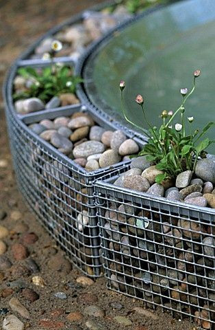 wire mesh gabions filled with rocks and used as borders in a garden