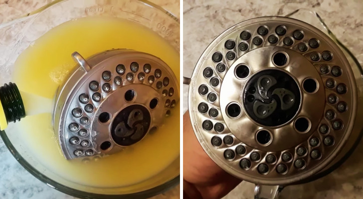 il soffione di una doccia mentre viene immerso in succo di limone e dopo il trattamento
