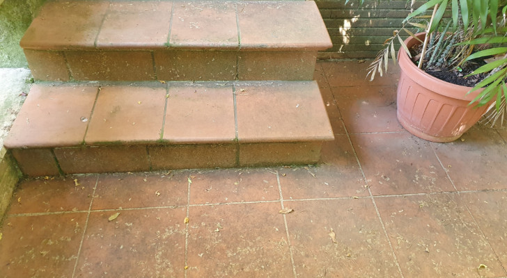 pavimento e scale di terracotta in giardino ricoperte di sporcizia