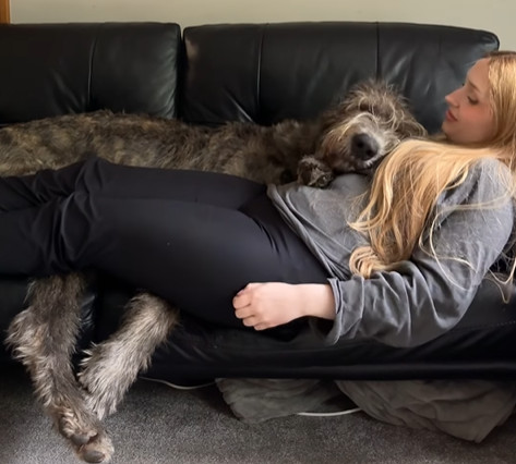 cane sdraiato sulla padrona