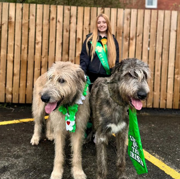 Claudia Carter con i suoi Irish Wolfhound, Arlo e Merlin