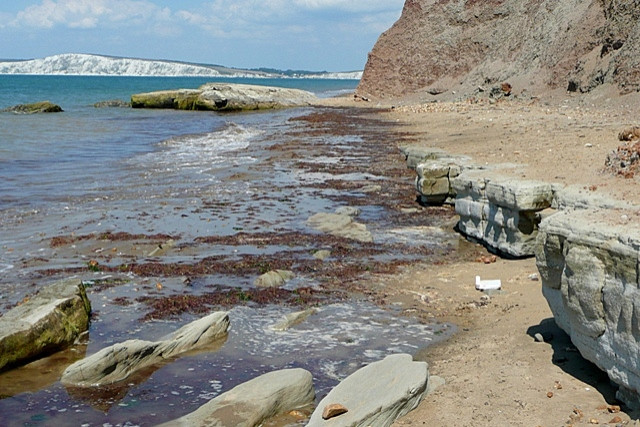 De Wessex Formation, een fossielrijke geologische formatie op het Isle of Wight