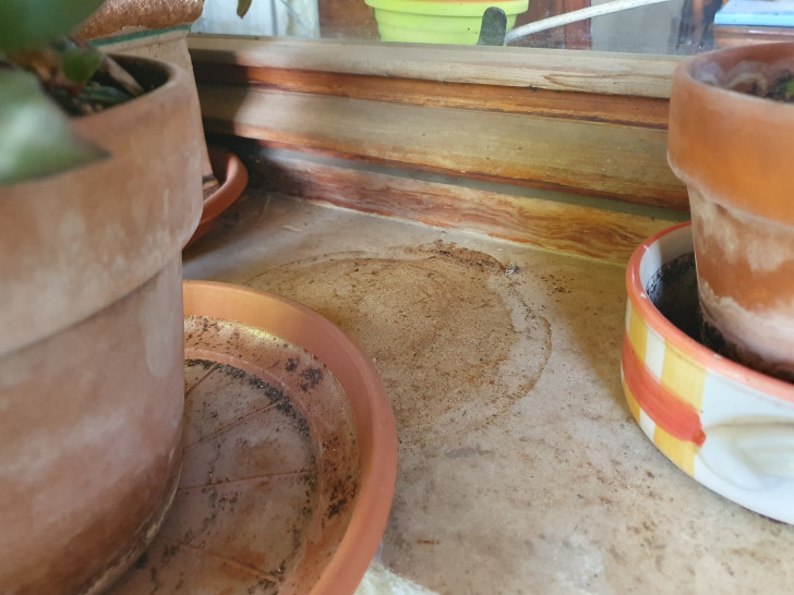 a mark left by a flowerpot on the marble surface of a windowsill