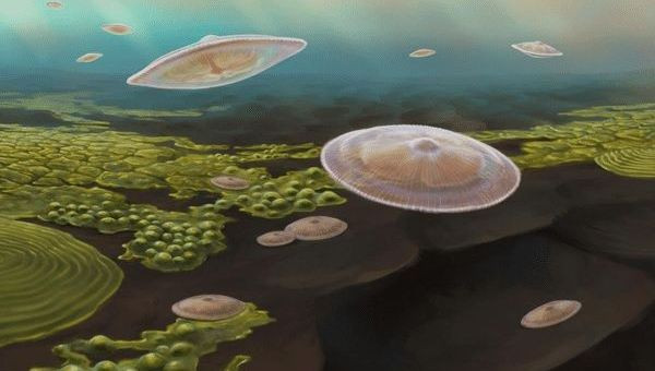 Complexe levensvormen: ze kunnen dateren van 2,1 miljard jaar geleden