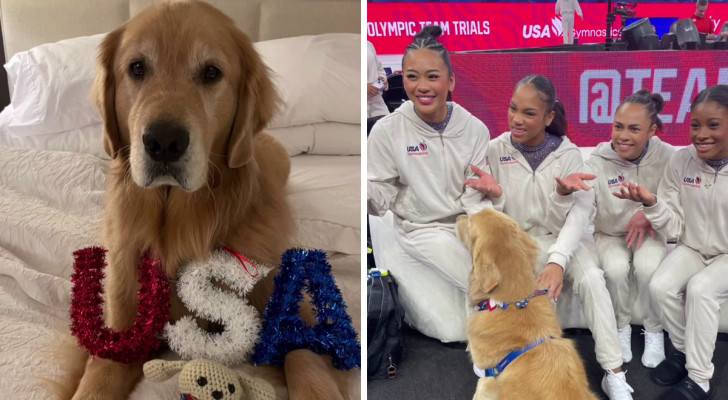 il cane Beacon agli allenamenti per le Olimpiadi del team di ginnastica USA