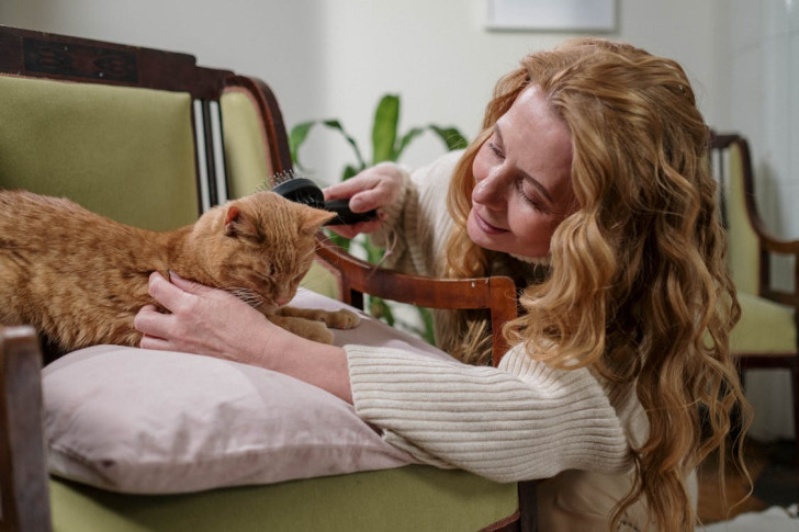 una donna che spazzola il suo gatto