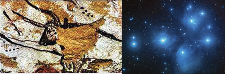 Bild eines Stiers in der Höhle von Lascaux, zusammen mit sechs Punkten, die den Sternhaufen der Plejaden darstellen könnten (rechts)