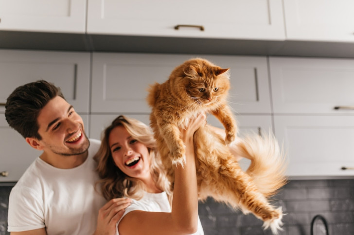 una coppia sorridente mentre gioca con un gatto in cucina