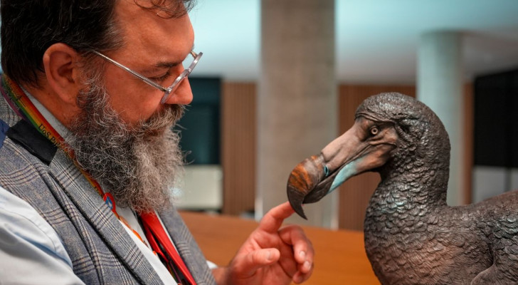 Le chercheur Neil Gostling à côté du dodo réalisé par Karen Fawcett