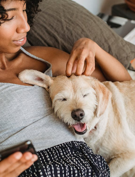 una donna seduta su un divano mentre accarezza la testa di un cane poggiato su di lei