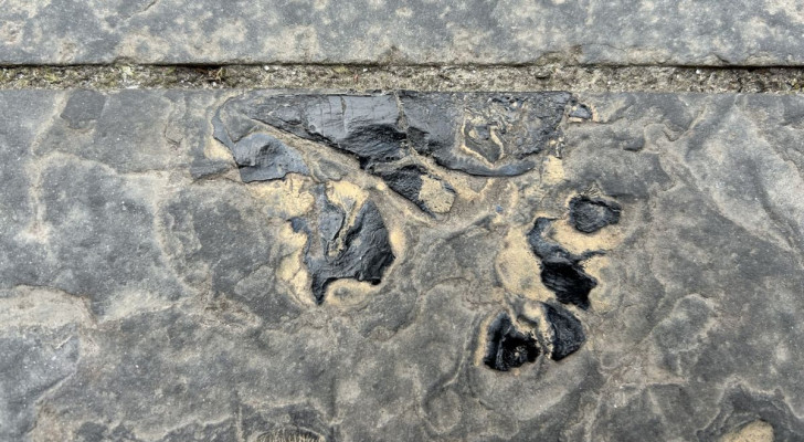 Fossile Fischspuren auf den Platten, aus denen ein Bürgersteig in Inverness, Schottland, besteht