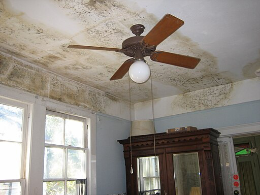 A house where high humidity levels have caused mold and stains to form on the ceiling