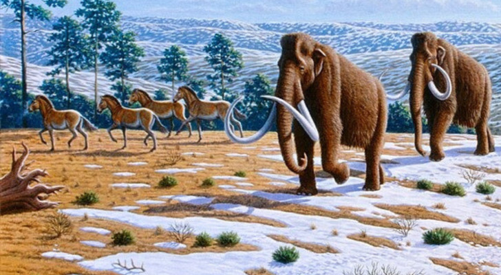 Tardo Pleistocene nella Spagna settentrionale , di Mauricio Antón