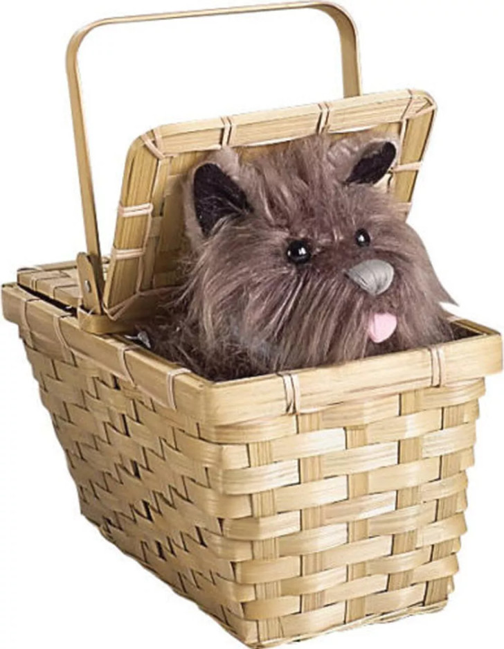 a toy gray dog ​​in a straw basket