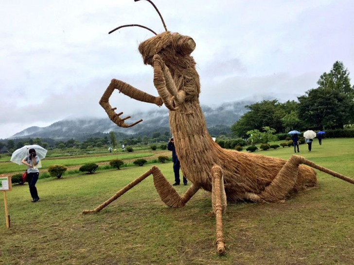 Wara festival: ecco come in Giappone si produce arte utilizzando la paglia di riso - 4