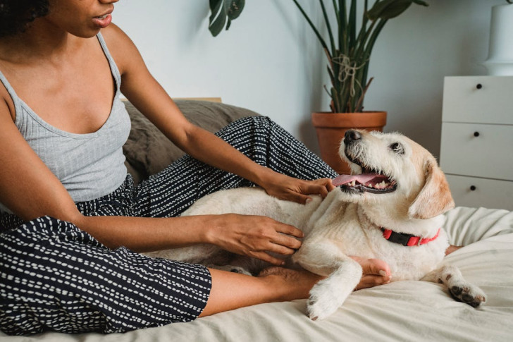 una donna accarezza il cane che la guarda mentre è sdraiato sul letto con lei