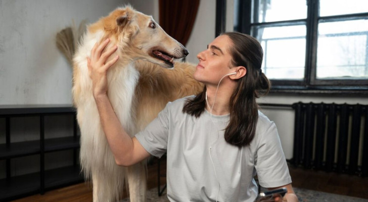 Ragazzo parla con il suo cane, che lo guarda intensamente