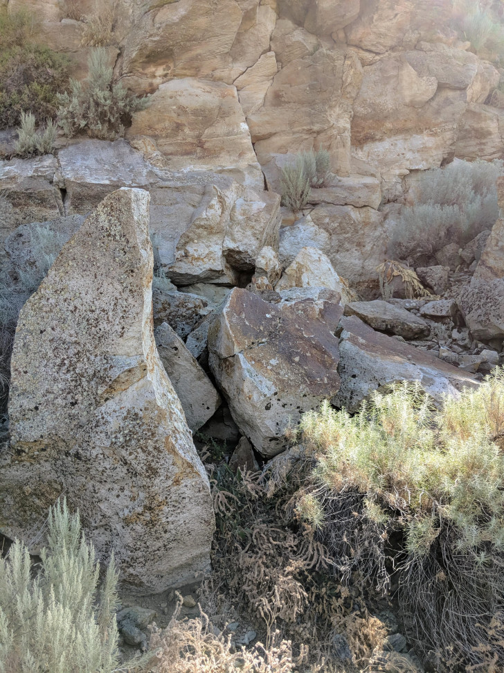 Une paroi rocheuse avec de la végétation à la base