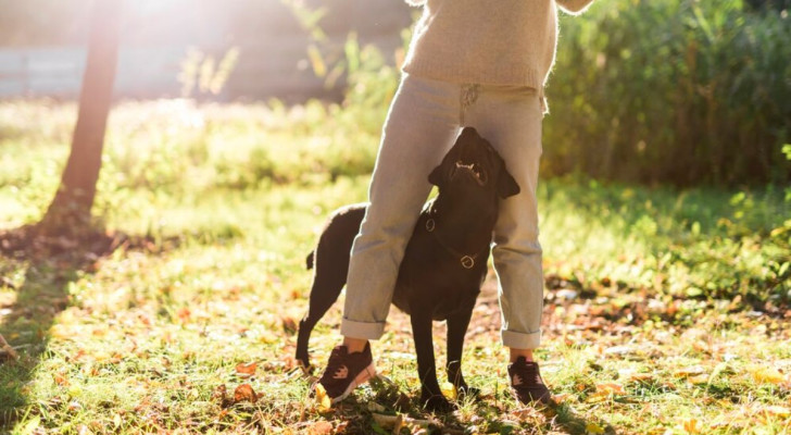 cane con la sua proprietaria all'esterno