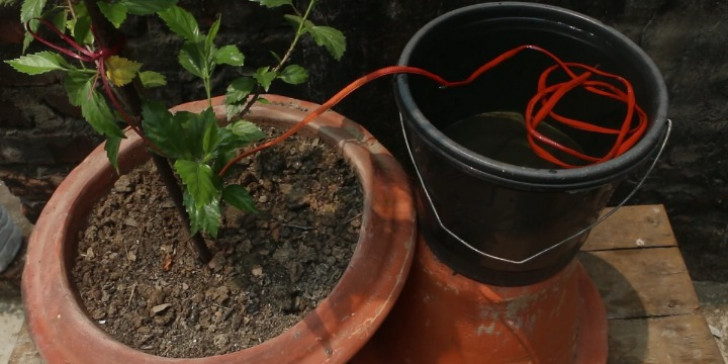 An automatic watering system made with shoelaces