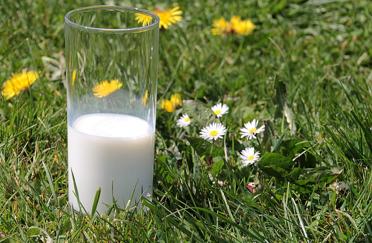 Ett glas mjölk på en blommig gräsmatta