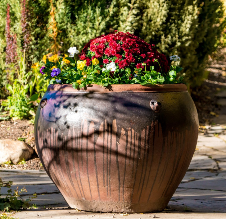 a large vase with red chrysanthemums and pansies