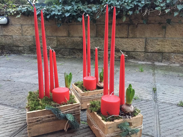 cassette di legno con bulbi e candele rosse