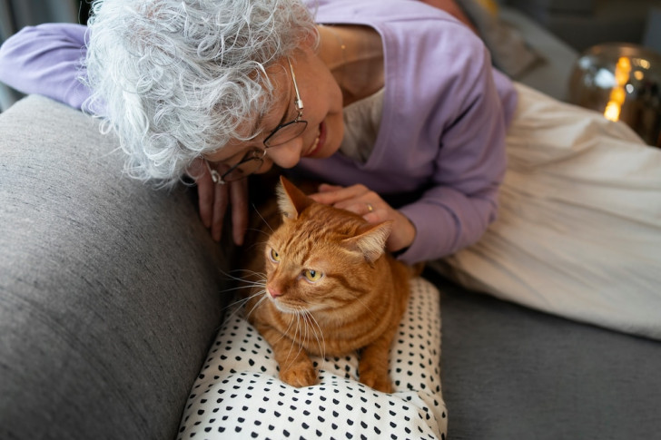 una donna giapponese che accarezza un gatto rosso sul divano