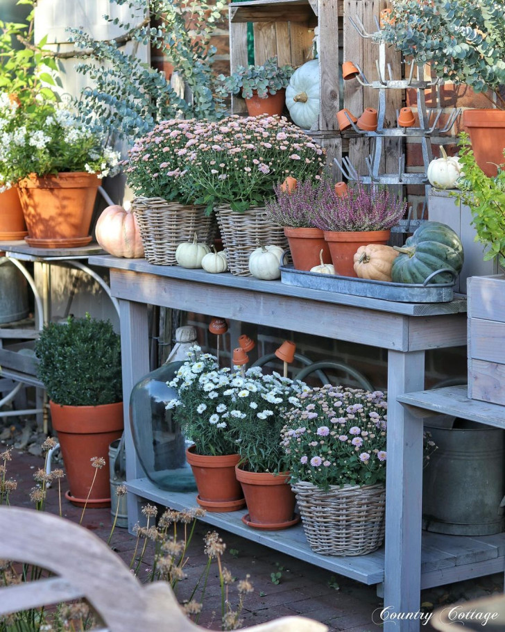 a garden work bench decorated with small pumpkins