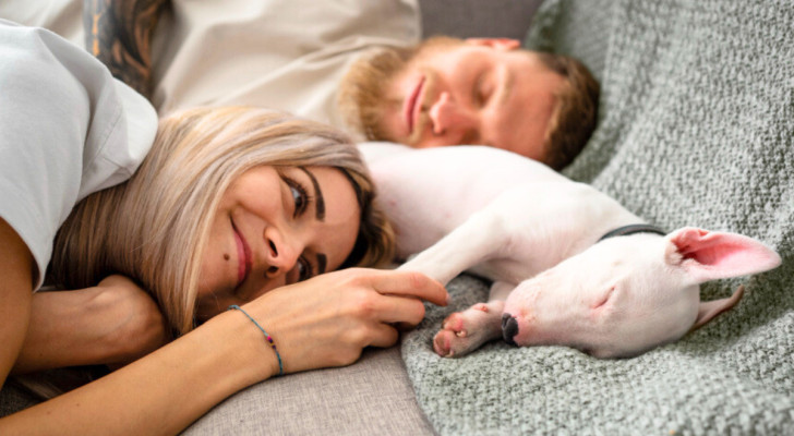 Una donna sorride nel letto tenendo la zampa del suo cane. Alle sue spalle, un uomo dorme